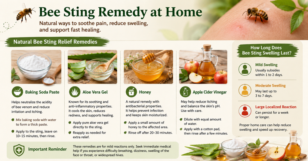 Bee Sting Remedy at Home