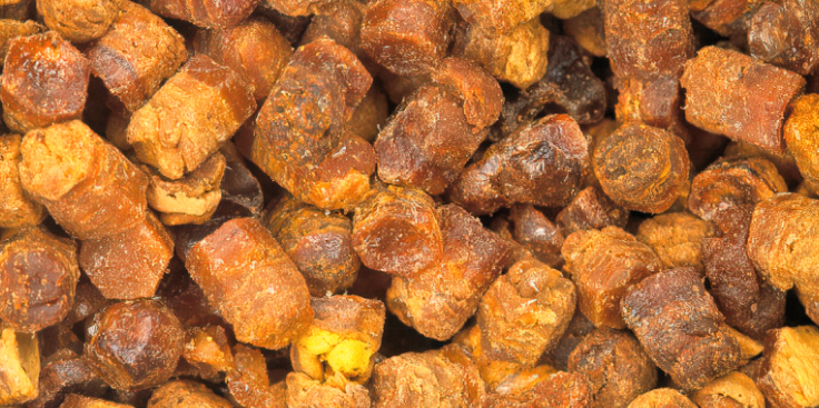 How Bee Bread Is Harvested